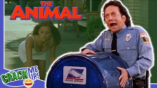 ROB SCHNEIDER cant CONTROL his ANIMAL INSTINCTS  The Animal