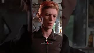 David Bowie  The Man Who Fell to Earth