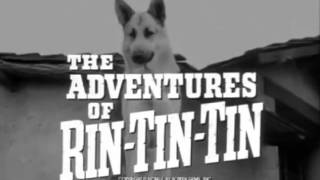 The Adventures of Rin Tin Tin 1954  1959 Opening and Closing Theme