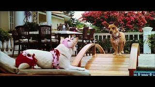 Beverly Hills Chihuahua 2008 Official Trailer
