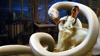 Jet Li vs Big Snake  The Sorcerer and the White Snake 2011  Best Fight Scene