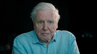 Sir David Attenborough The Future Of Our Frozen World  Frozen Planet II  BBC Earth