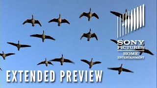 WINGED MIGRATION  Extended Preview  Now on Digital