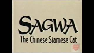 Sagwa The Chinese Siamese Cat  Intro  2003  PBS Kids
