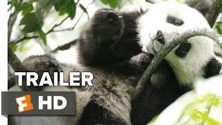 Born in China Official Earth Day Trailer 2017  Disneynature Documentary HD