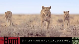 The Hunt  TRAILER 2  Premieres Sunday July 3 at 98c on BBC AMERICA