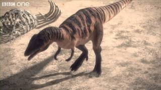 Carcharodontosaurus  Planet Dinosaur  Episode 1  BBC One