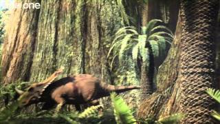 Tyrannosaur Rivalry  Planet Dinosaur   Episode 3  BBC One
