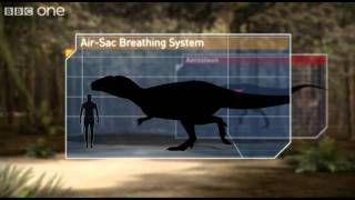 Breathing Techniques  Planet Dinosaur  Episode 1  BBC One