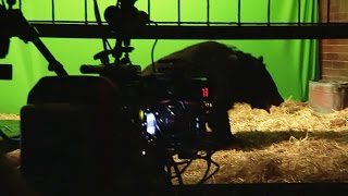 Man eaters Behind the Scenes  Our Zoo Episode 2  BBC One