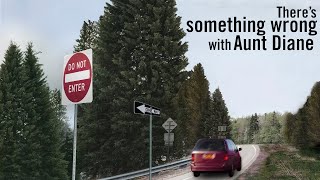 Theres Something Wrong with Aunt Diane Schuler Documentary
