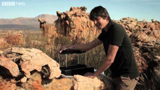 Brian Cox Builds a Cloud Chamber  Wonders of Life  Series 1 Episode 3 Preview  BBC Two