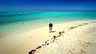 Great Barrier Reef with David Attenborough Trailer  BBC One