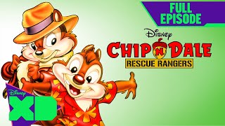 Chip n Dale Rescue Rangers First Full Episode  Under the Seas  S1 E1  disneyxd