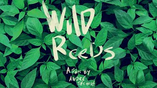 Wild Reeds Les roseaux sauvages  US Restoration Trailer HD