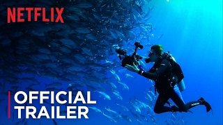 Mission Blue  Official Trailer HD  Netflix