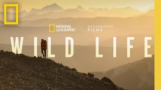 Wild Life  Official Trailer  National Geographic