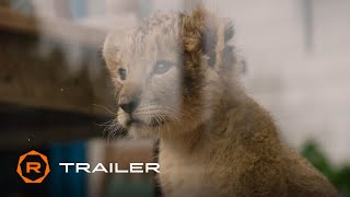 The Wolf and the Lion Official Trailer 2022  Regal Theatres HD
