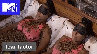 Sisters vs Bugs Official Sneak Peek  Fear Factor Hosted by Ludacris  MTV