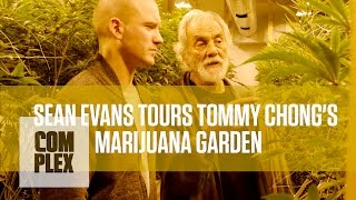 Tommy Chongs Medical Marijuana Garden  Complex