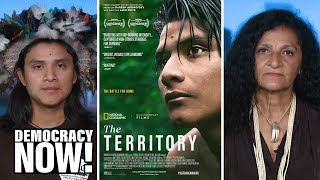The Territory New Film Documents Indigenous Fight Against Illegal Deforestation in Amazon