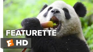 Pandas Featurette  Making Pandas 2018  Movieclips Indie