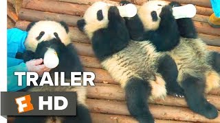 Pandas Trailer 1 2018  Movieclips Indie