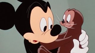 Mickey and the Seal  A Classic Mickey Short  Have A Laugh