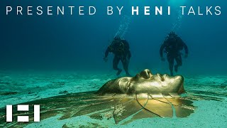 Damien Hirst Treasures from the Wreck of the Unbelievable  Presented by HENI Talks