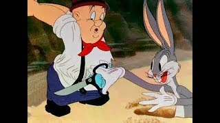 Looney Tunes  The Wacky Wabbit 1942 High Quality HD