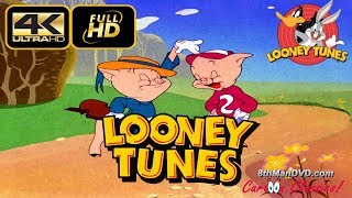 LOONEY TUNES Looney Toons Pigs in a Polka 1943 Ultra 4K  Bea Benaderet Sara Berner