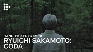 RYUICHI SAKAMOTO CODA  Handpicked by MUBI