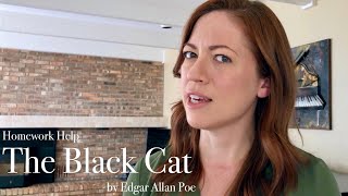 THE BLACK CAT by Edgar Allan Poe Summary  Analysis