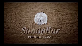 Magnolia Hill ProductionsSandollar ProductionsWarner Bros TelevisionNetflix 2019