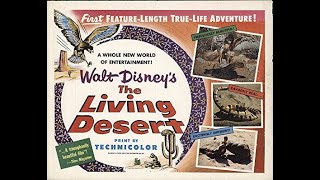 Dan Does Disney 22  The Living Desert 1953