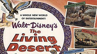 The Living Desert 1953 Disney Nature Documentary Film