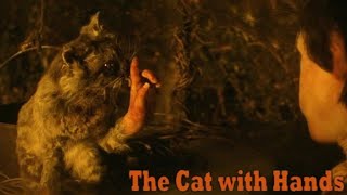 The Cat with Hands 2001 Short Film  Robert Morgan