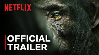Chimp Empire  Mahershala Ali  Official Trailer  Netflix