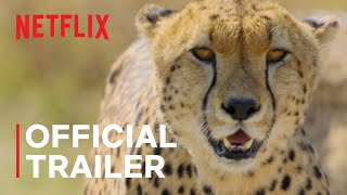 Animal  Official Trailer  Netflix