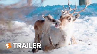 A Reindeers Journey Trailer 1 2019  Movieclips Indie