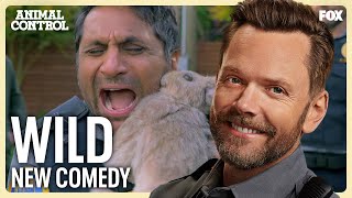 Official Trailer New Comedy Series Featuring Joel McHale  Animal Control
