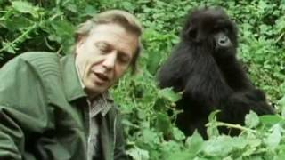 Sir David Attenborough  The story behind Life on Earth  BBC