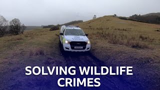 Wildlife Crime  Highland Cops  BBC Scotland