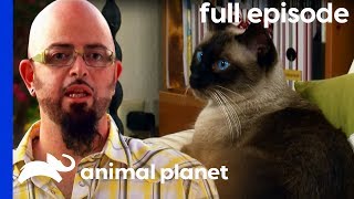 My Cat Hates My Boyfriend  My Cat From Hell Full Episode