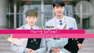 Cherry Blossoms After Winter on WeTV