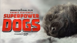 Superpower Dogs Official Trailer  Experience It In IMAX
