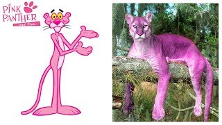 Pink Panther and Pals Characters in Real Life
