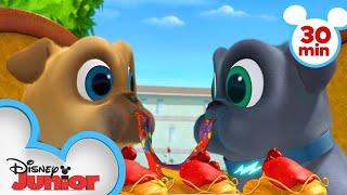 Bingo and Rolly Travel Across Europe  30 Minute Compilation  Puppy Dog Pals Disney Junior