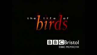 The Life of Birds  Intro And End Credits  BBC David Attenborough Documentary