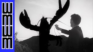 Aliens growing GIANT LOBSTERS  Teenagers from Outer Space 1959